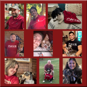 Collage of pictures of the Oklahoma PAVE team and PAVE pups.