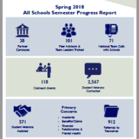 PAVE Spring 2018 Semester School Progress Report