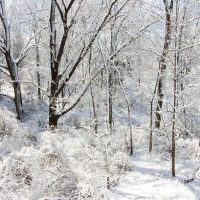 Picture of a snowy scene in Grass Lake, MI