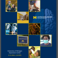 Image of the cover of the Depression Center's 2020 Impact Report